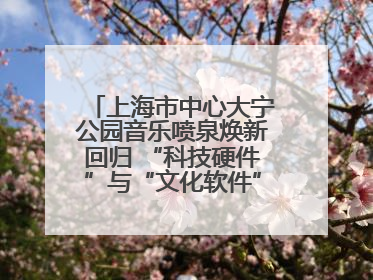 上海市中心大宁公园音乐喷泉焕新回归 “科技硬件”与“文化软件”完美融合