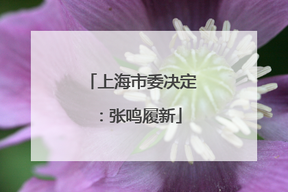 上海市委决定：张鸣履新