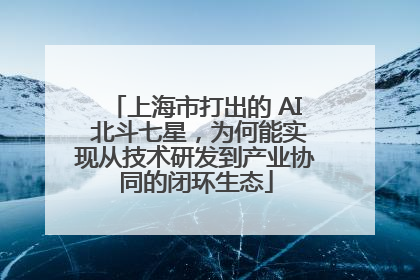 上海市打出的 AI 北斗七星，为何能实现从技术研发到产业协同的闭环生态