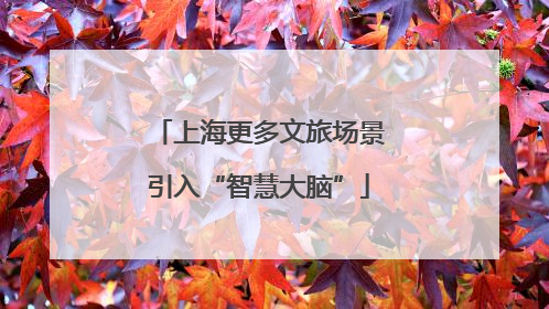 上海更多文旅场景引入“智慧大脑”