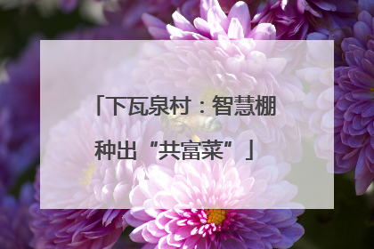 下瓦泉村：智慧棚种出“共富菜”