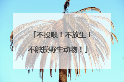 不投喂！不放生！不触摸野生动物！