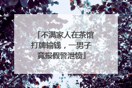 不满家人在茶馆打牌输钱，一男子竟报假警泄愤