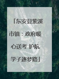 东安县紫溪市镇：政府暖心送考 护航学子逐梦路
