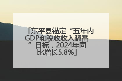 东平县锚定“五年内GDP和税收收入翻番”目标，2024年同比增长5.8%