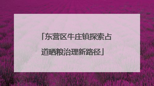 东营区牛庄镇探索占道晒粮治理新路径