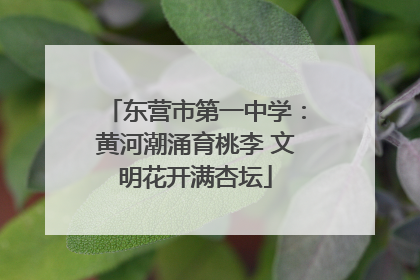 东营市第一中学：黄河潮涌育桃李 文明花开满杏坛