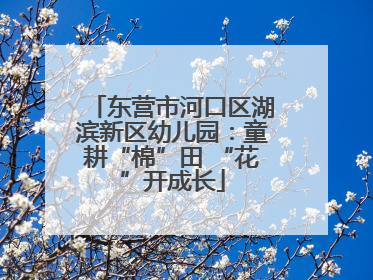 东营市河口区湖滨新区幼儿园：童耕“棉”田 “花”开成长