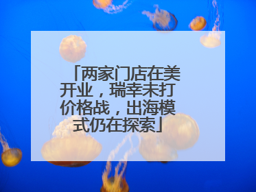 两家门店在美开业，瑞幸未打价格战，出海模式仍在探索