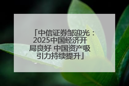 中信证券邹迎光：2025中国经济开局良好 中国资产吸引力持续提升