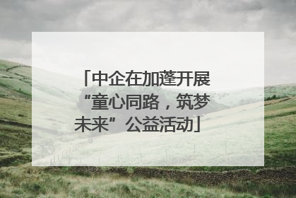 中企在加蓬开展“童心同路，筑梦未来”公益活动