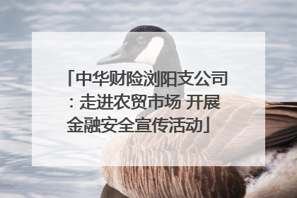 中华财险浏阳支公司：走进农贸市场 开展金融安全宣传活动