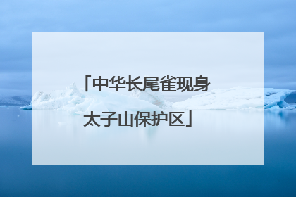 中华长尾雀现身太子山保护区