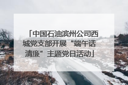 中国石油滨州公司西城党支部开展“端午话清廉”主题党日活动