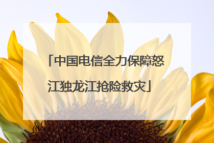中国电信全力保障怒江独龙江抢险救灾