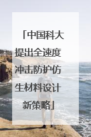中国科大提出全速度冲击防护仿生材料设计新策略