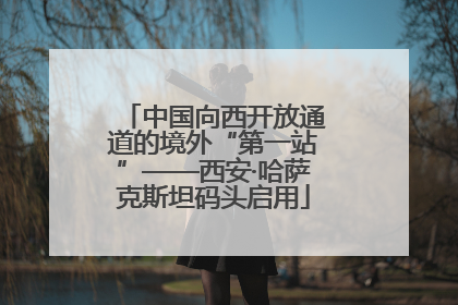 中国向西开放通道的境外“第一站”——西安·哈萨克斯坦码头启用