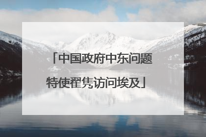 中国政府中东问题特使翟隽访问埃及