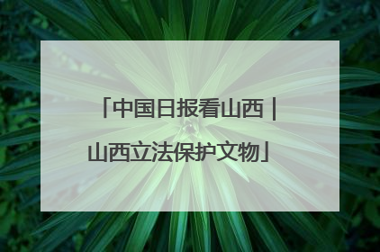 中国日报看山西｜山西立法保护文物
