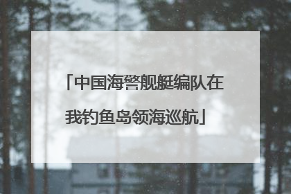 中国海警舰艇编队在我钓鱼岛领海巡航