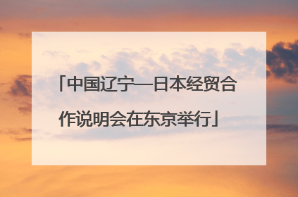 中国辽宁—日本经贸合作说明会在东京举行