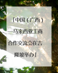 中国（广西）—马来西亚工商合作交流会在吉隆坡举办