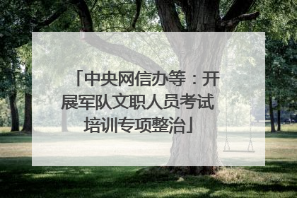 中央网信办等：开展军队文职人员考试培训专项整治
