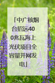 中广核烟台招远400兆瓦海上光伏项目全容量并网发电