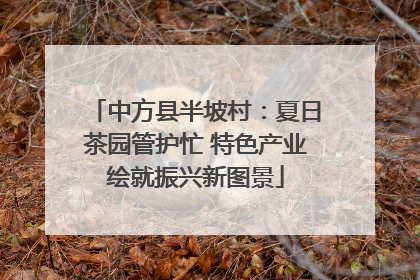 中方县半坡村：夏日茶园管护忙 特色产业绘就振兴新图景