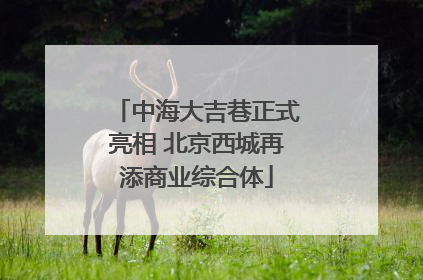 中海大吉巷正式亮相 北京西城再添商业综合体