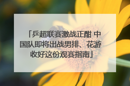 乒超联赛激战正酣 中国队即将出战男排、花游 收好这份观赛指南