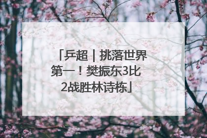 乒超｜挑落世界第一！樊振东3比2战胜林诗栋