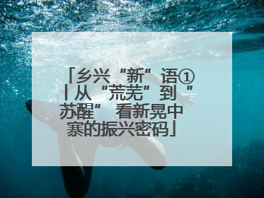乡兴“新”语①丨从“荒芜”到“苏醒” 看新晃中寨的振兴密码