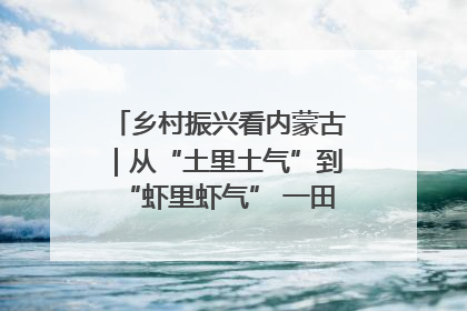 乡村振兴看内蒙古｜从“土里土气”到“虾里虾气” 一田双收模式火出圈
