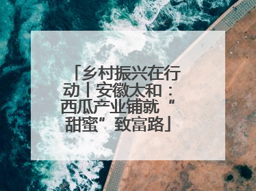 乡村振兴在行动丨安徽太和：西瓜产业铺就“甜蜜”致富路
