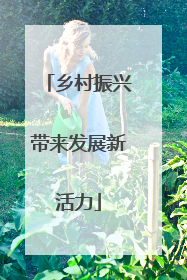 乡村振兴带来发展新活力