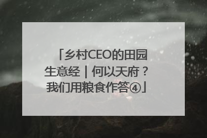 乡村CEO的田园生意经｜何以天府？我们用粮食作答④