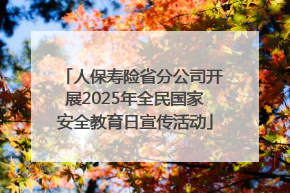 人保寿险省分公司开展2025年全民国家安全教育日宣传活动