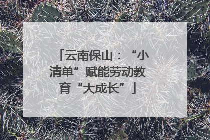云南保山：“小清单”赋能劳动教育“大成长”