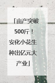 亩产突破500斤！安化小花生种出亿元大产业