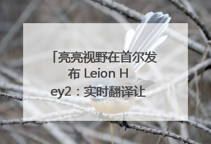 亮亮视野在首尔发布 Leion Hey2：实时翻译让世界“听”中国话
