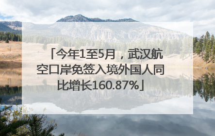 今年1至5月，武汉航空口岸免签入境外国人同比增长160.87%