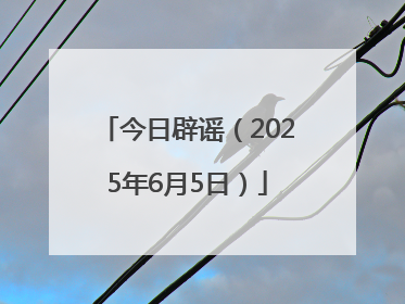 今日辟谣（2025年6月5日）