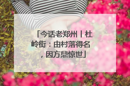今话老郑州丨杜岭街：由村落得名，因方鼎惊世