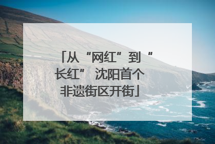 从“网红”到“长红” 沈阳首个非遗街区开街