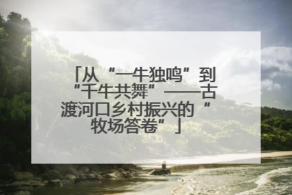 从“一牛独鸣”到“千牛共舞”——古渡河口乡村振兴的“牧场答卷”