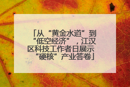 从“黄金水道”到“低空经济”，江汉区科技工作者日展示“硬核”产业答卷