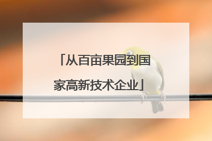 从百亩果园到国家高新技术企业