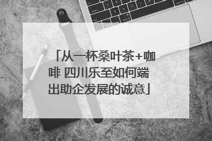 从一杯桑叶茶+咖啡 四川乐至如何端出助企发展的诚意