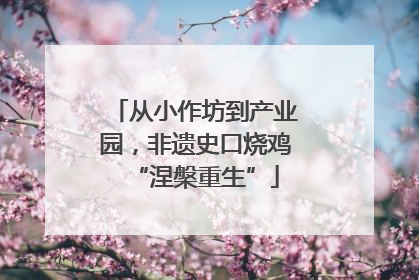 从小作坊到产业园，非遗史口烧鸡“涅槃重生”